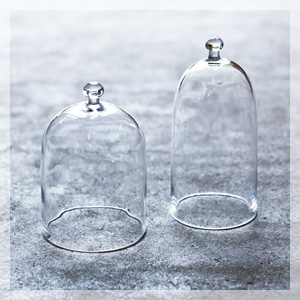 主宰　白神典大